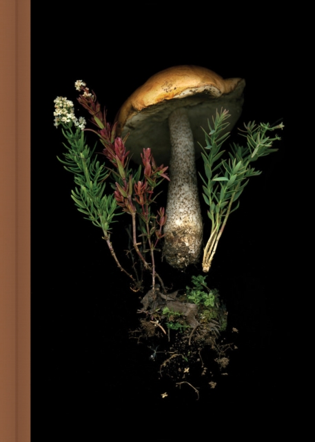 Deep Dark Forest Mushroom Journal