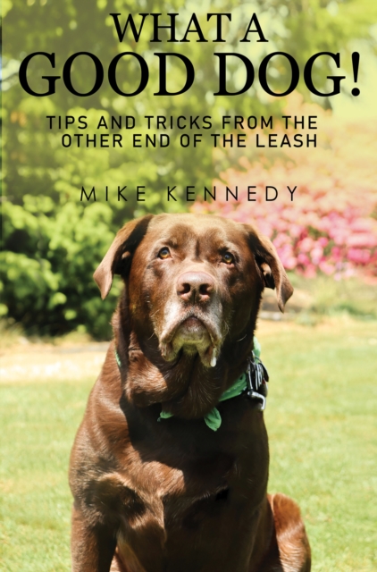 What a Good Dog! Tips and Tricks from the Other End of the Leash.