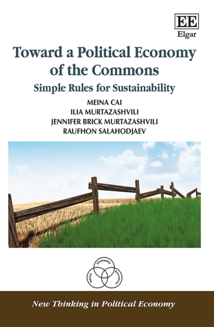 Toward a Political Economy of the Commons