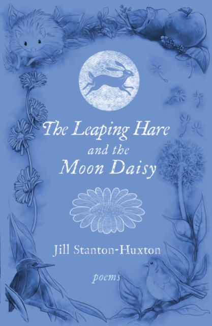 Leaping Hare and the Moon Daisy