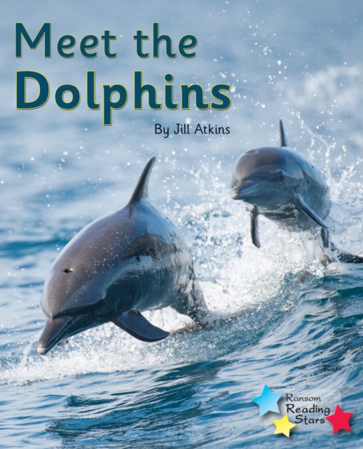 Meet the Dolphins