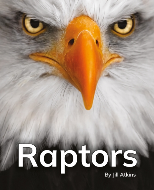 Raptors