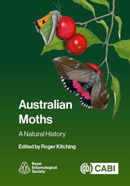 Australian Moths
