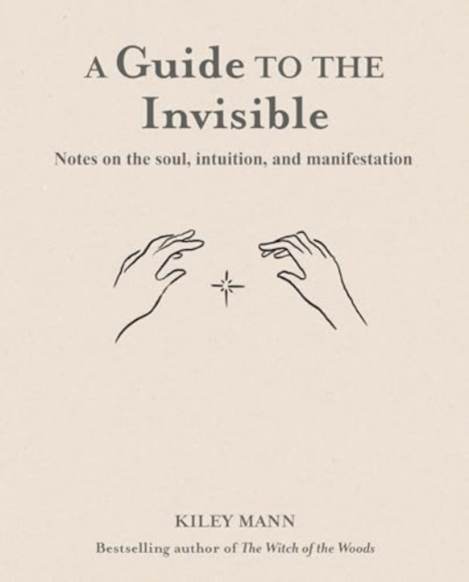 Guide to the Invisible (cancelled)