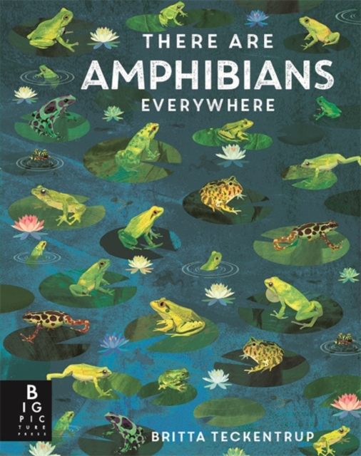There Are Amphibians Everywhere