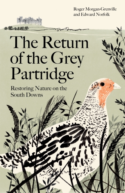 Return of the Grey Partridge