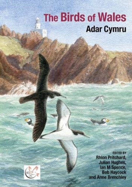 Birds of Wales