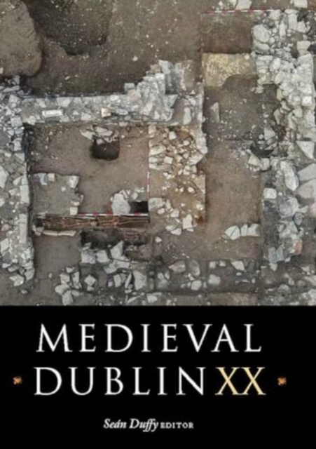 Medieval Dublin XX