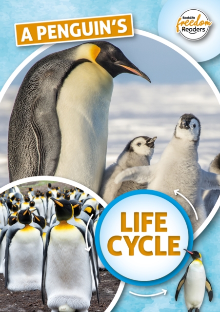Penguin's Life Cycle