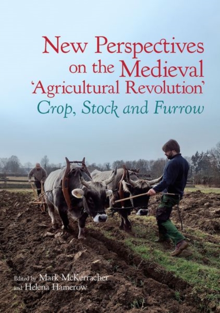 New Perspectives on the Medieval 'Agricultural Revolution'