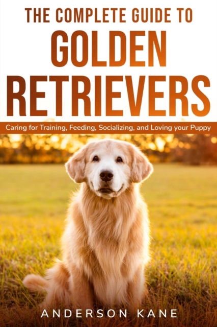 Complete Guide to Golden Retrievers