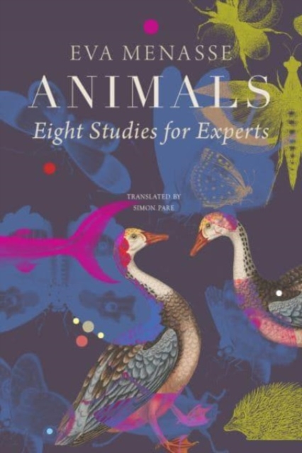 Animals - Eight Studies for Experts