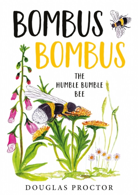 Bombus Bombus