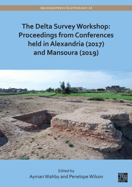 Delta Survey Workshop: Proceedings from Conferences held in Alexandria (2017) and Mansoura (2019)