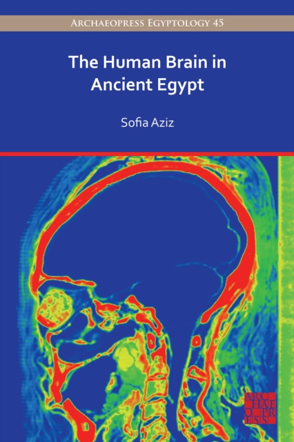 Human Brain in Ancient Egypt