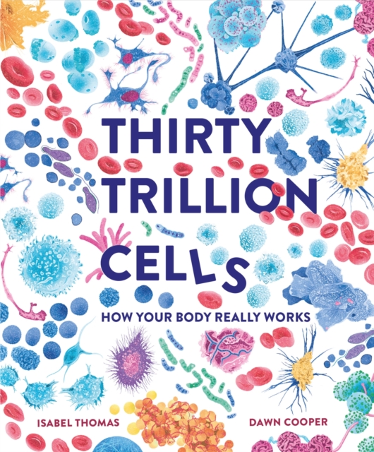 Thirty Trillion Cells