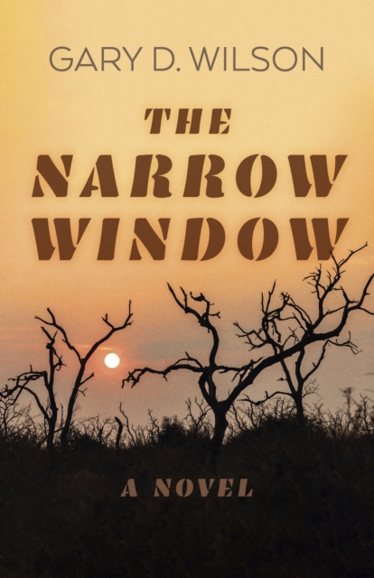 Narrow Window, The - A Novel