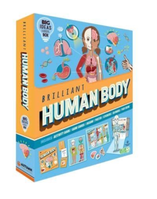 Brilliant Human Body