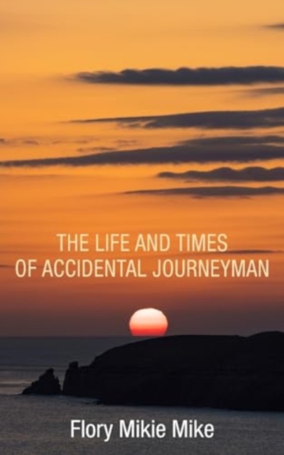 Life and Times of Accidental Journeyman
