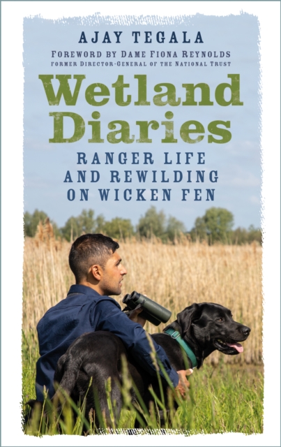 Wetland Diaries
