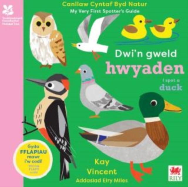 Dwi'n Gweld Hwyaden / I Spot a Duck