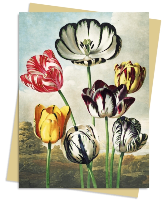 Temple of Flora: Tulips Greeting Card Pack