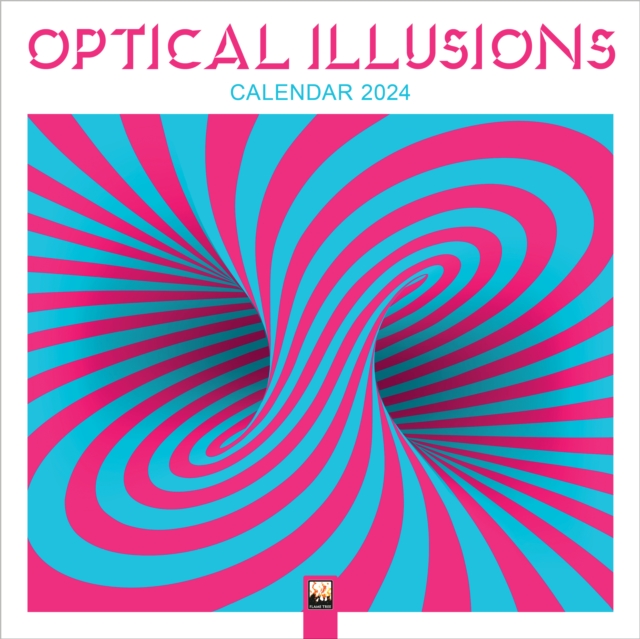 Optical Illusions Wall Calendar 2024 (Art Calendar)