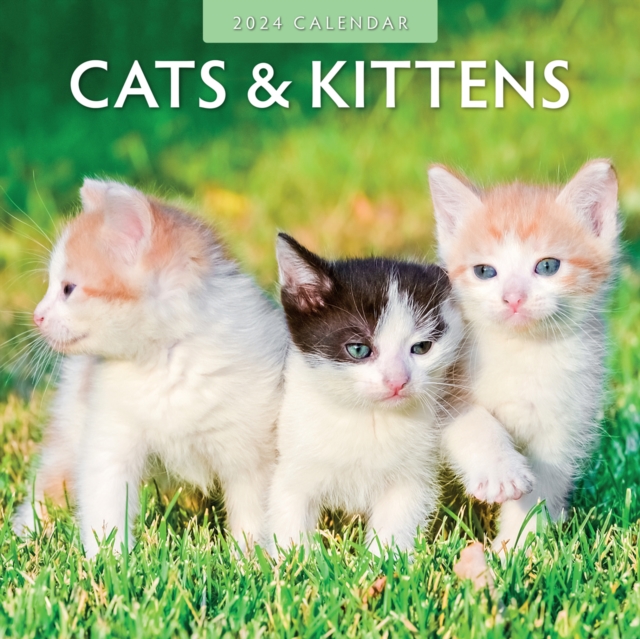 Cats & Kittens 2024 Square Wall Calendar