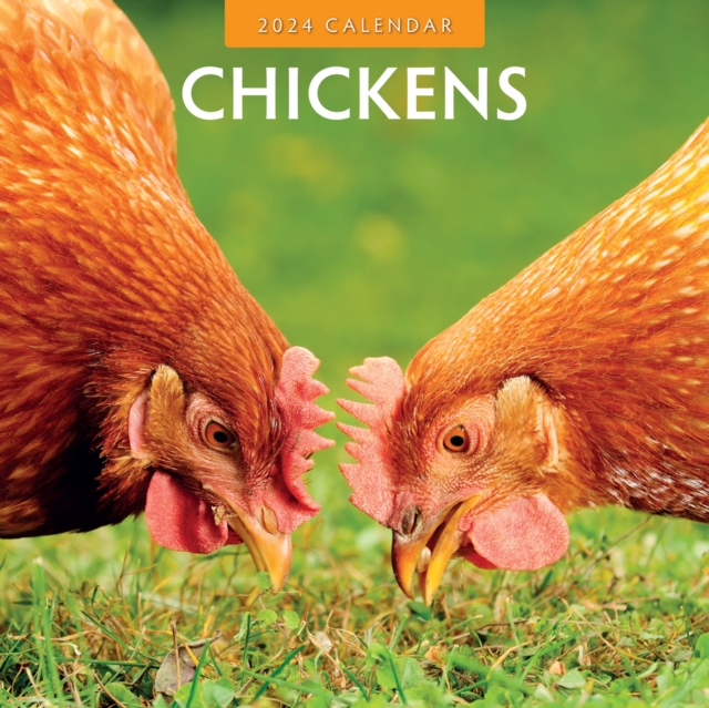 Chickens 2024 Square Wall Calendar