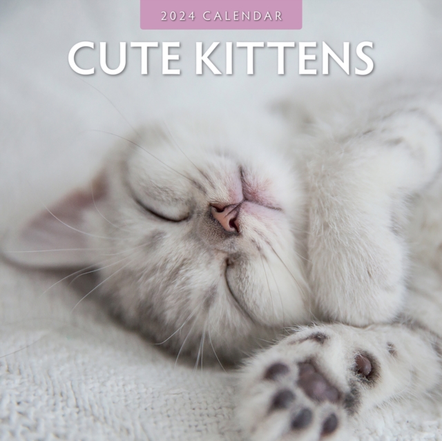 Cute Kittens 2024 Square Wall Calendar