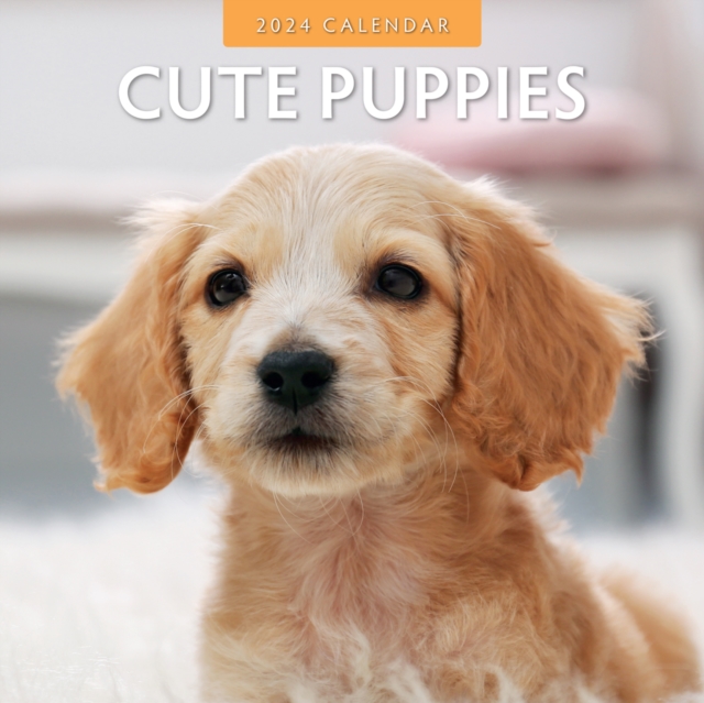 Cute Puppies 2024 Square Wall Calendar