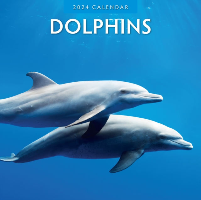 Dolphins 2024 Square Wall Calendar