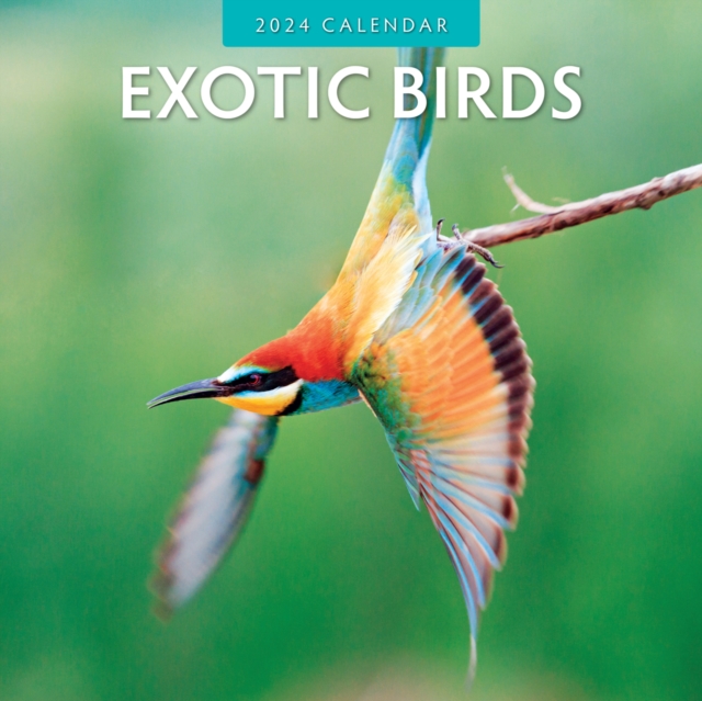 Exotic Birds 2024 Square Wall Calendar