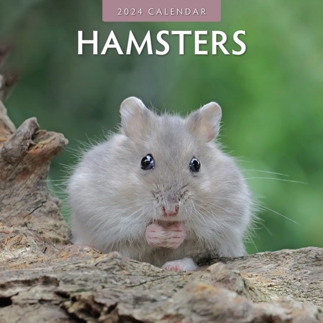 Hamsters 2024 Square Wall Calendar