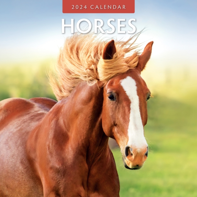 Horses 2024 Square Wall Calendar