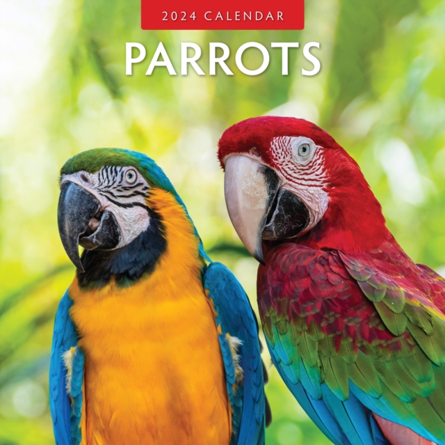 Parrots 2024 Square Wall Calendar