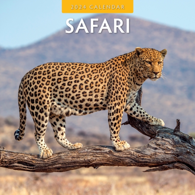 Safari 2024 Square Wall Calendar