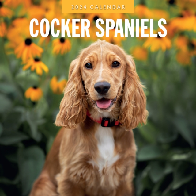 Cocker Spaniels 2024 Square Wall Calendar