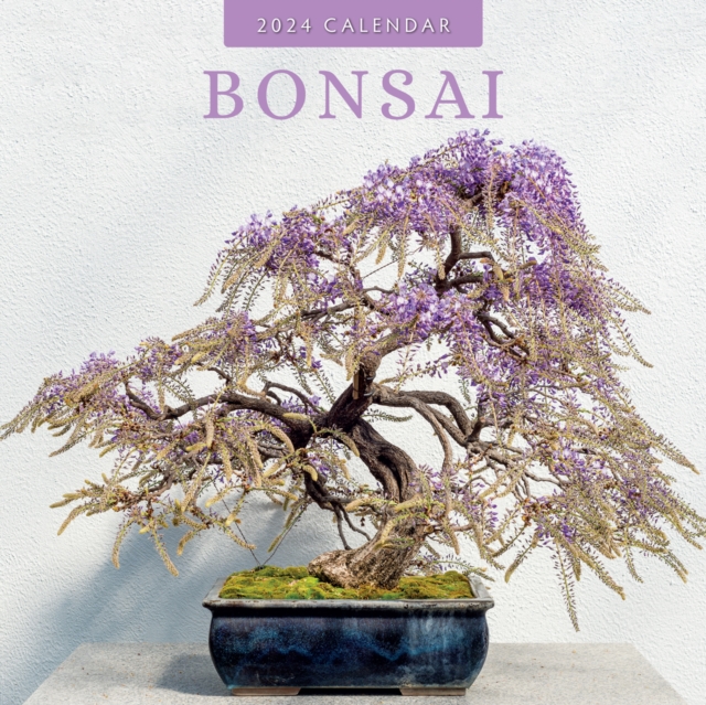 Bonsai 2024 Square Wall Calendar