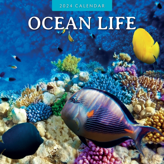 Ocean Life 2024 Square Wall Calendar