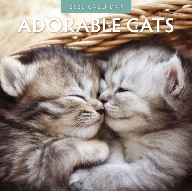 Adorable Cats 2025 Square Wall Calendar