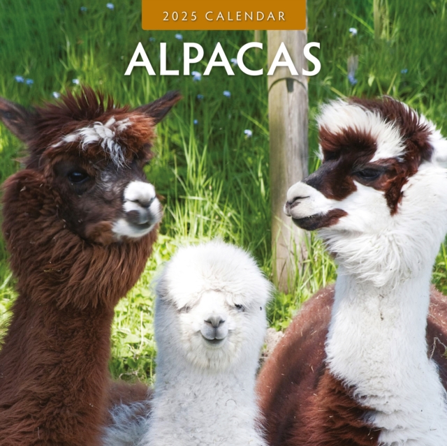 Alpacas 2025 Square Wall Calendar