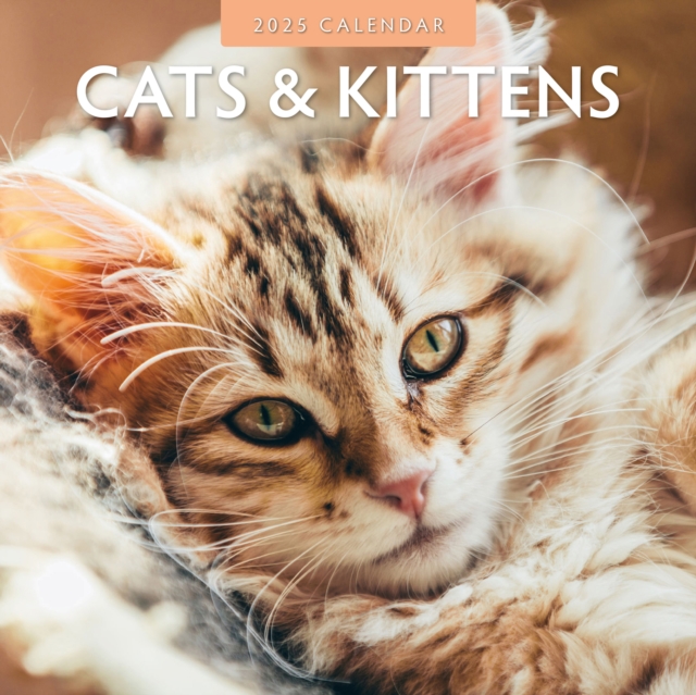 Cats & Kittens 2025 Square Wall Calendar