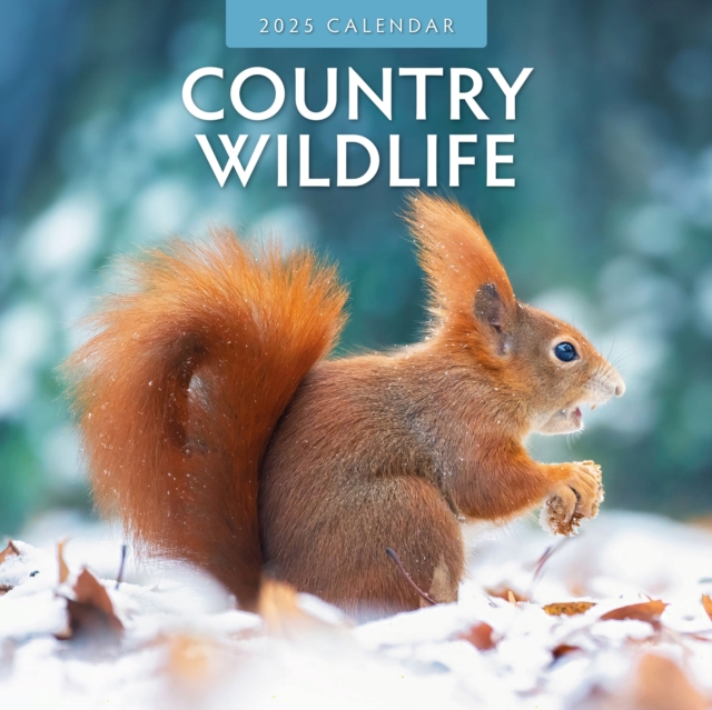 Country Wildlife 2025 Square Wall Calendar