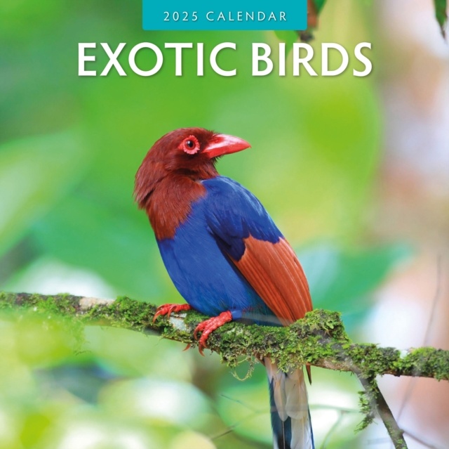 Exotic Birds 2025 Square Wall Calendar