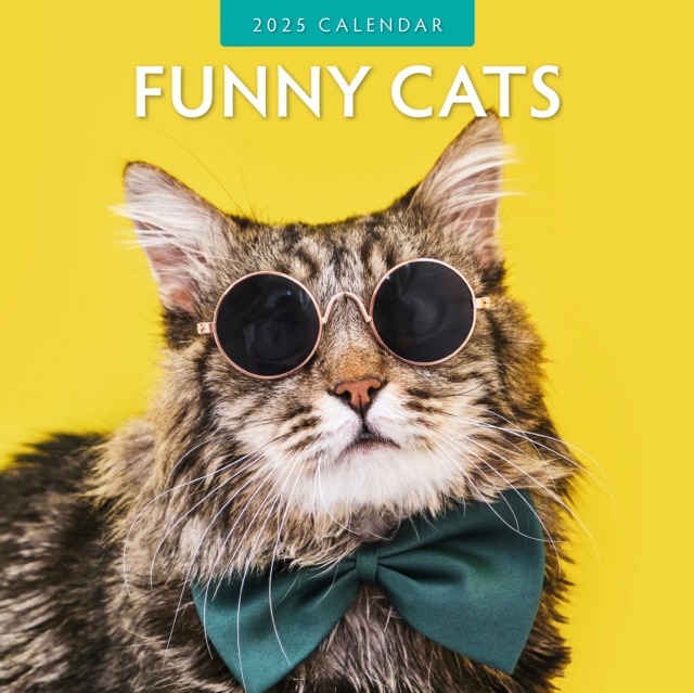 Funny Cats 2025 Square Wall Calendar