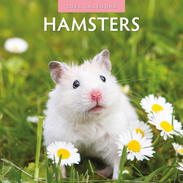 Hamsters 2025 Square Wall Calendar