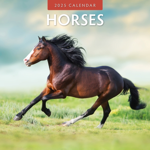 Horses 2025 Square Wall Calendar