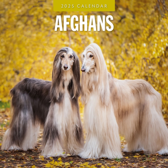 Afghans 2025 Square Wall Calendar