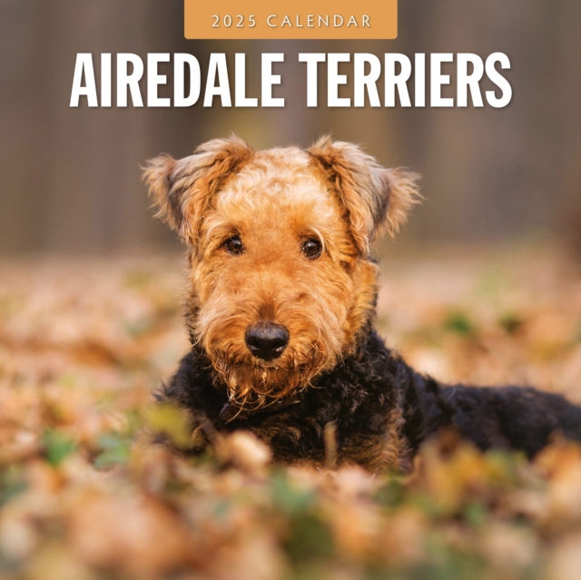 Airedale Terriers 2025 Square Wall Calendar